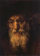 REMBRANDT Harmenszoon van Rijn Portrait of an Old Jew painting